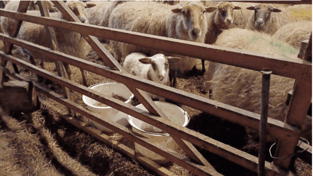 Schermafbeelding 2026-02-20 om 20.15.07.png