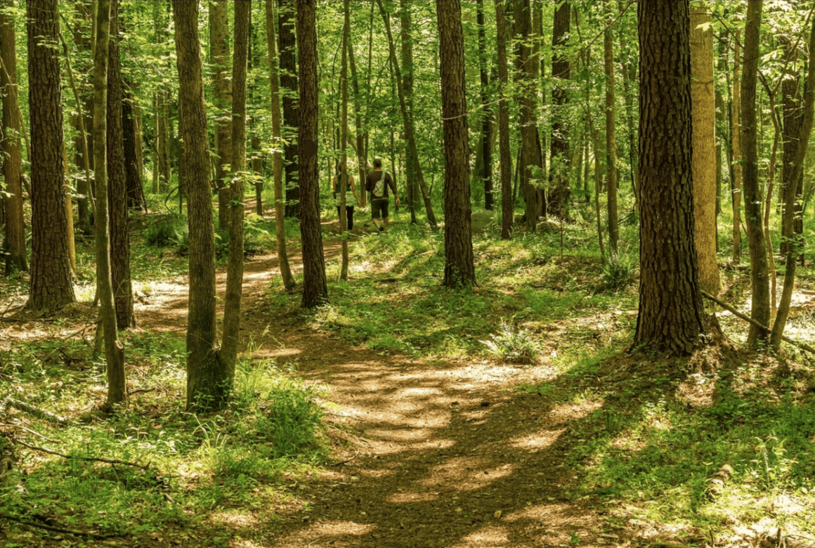 natuurhusalmelo.nl.png