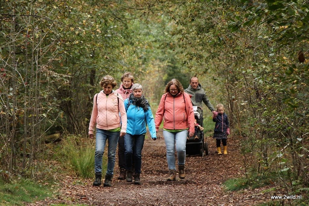 Patrick Veenhuis (6).JPG