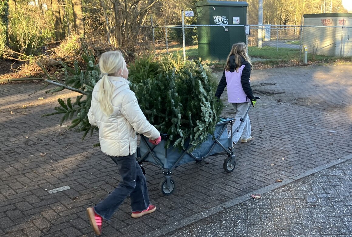 kerstbomen inleveren meisjes_.jpg