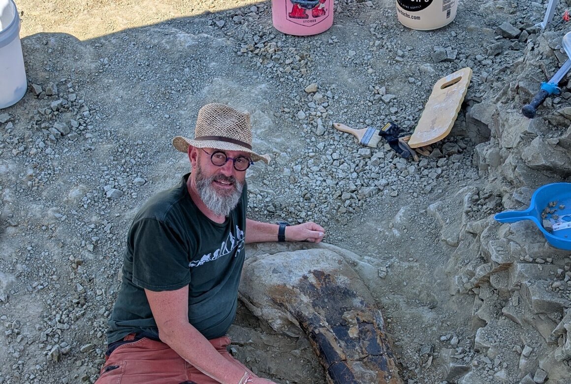 Waanzinnige Fossielen.jpg