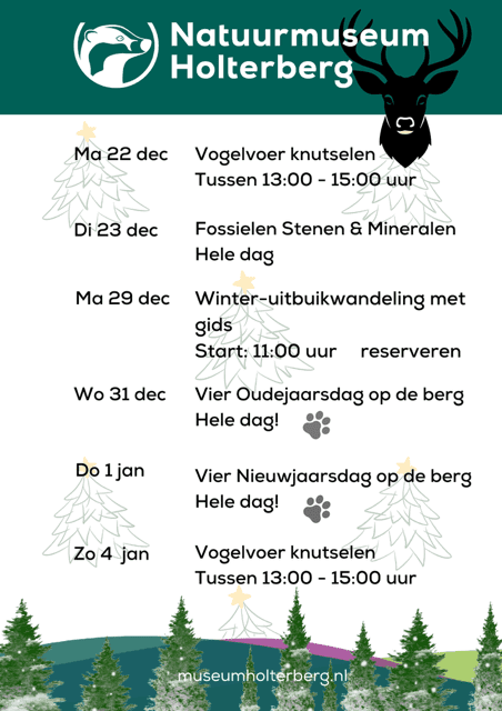 poster activiteiten kerstvakantie NM 2..PNG hert.PNG