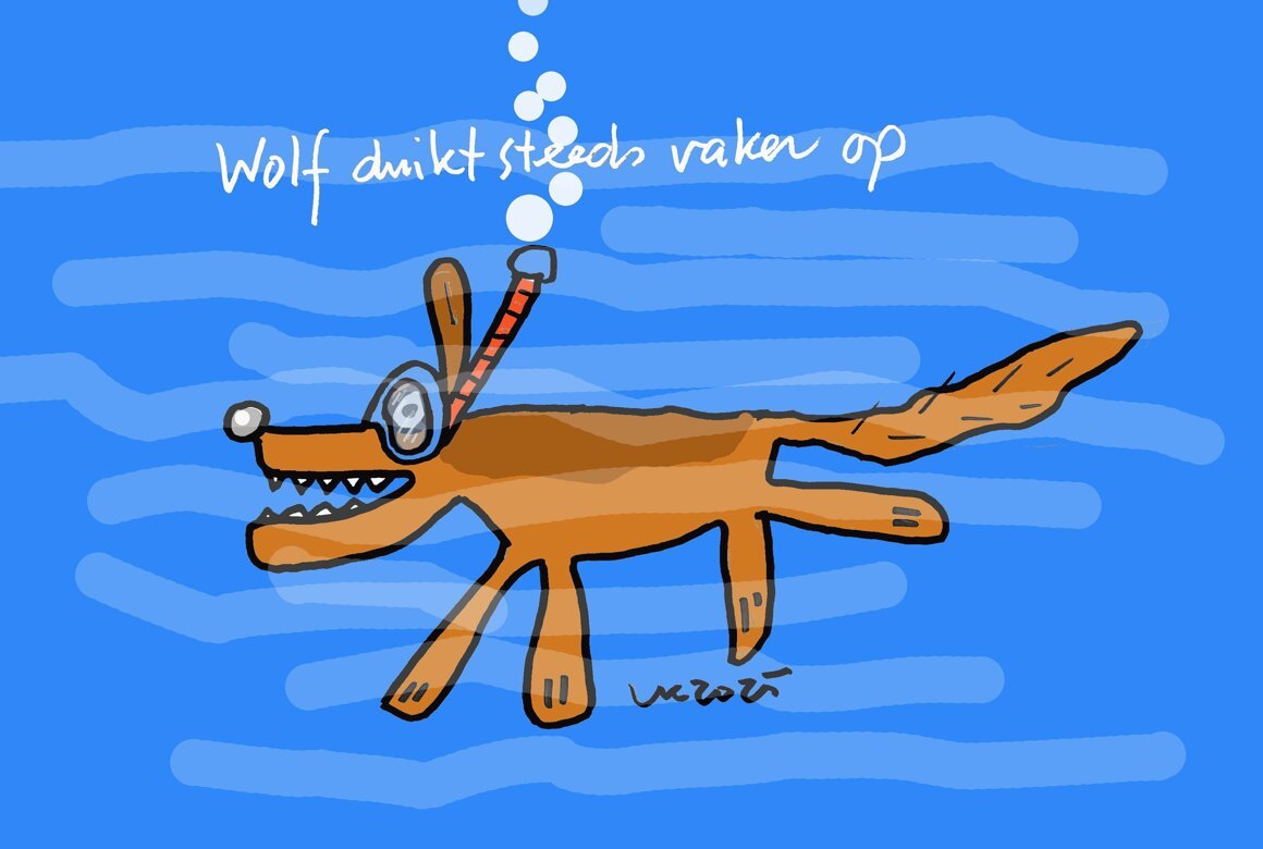 wolf duikt steeds vaker op.jpg