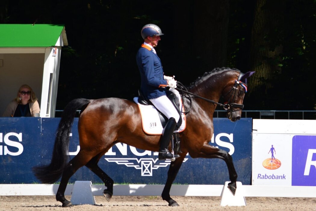 Frank Hosmar - Alphaville.jpg