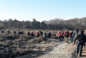 Schermafbeelding 2025-12-11 om 10.32.11.png