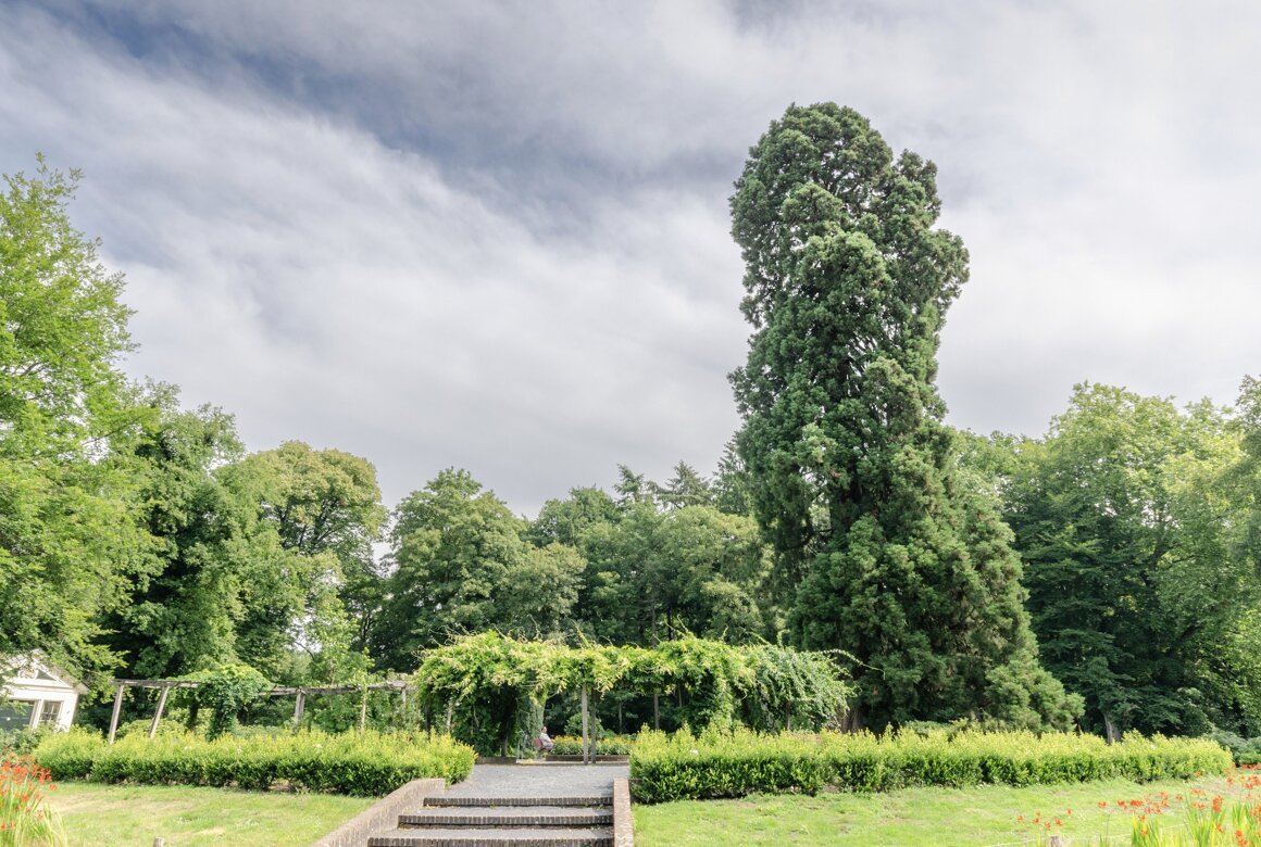 OV Boom Overijssel Rob Visser Photography 2.jpg