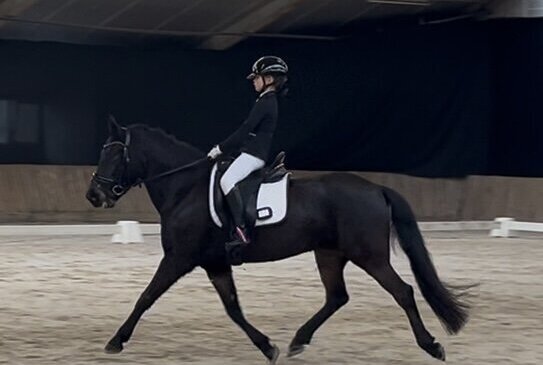 Saar Rutgers - Sulaatiks Pataya Marmelade.jpg