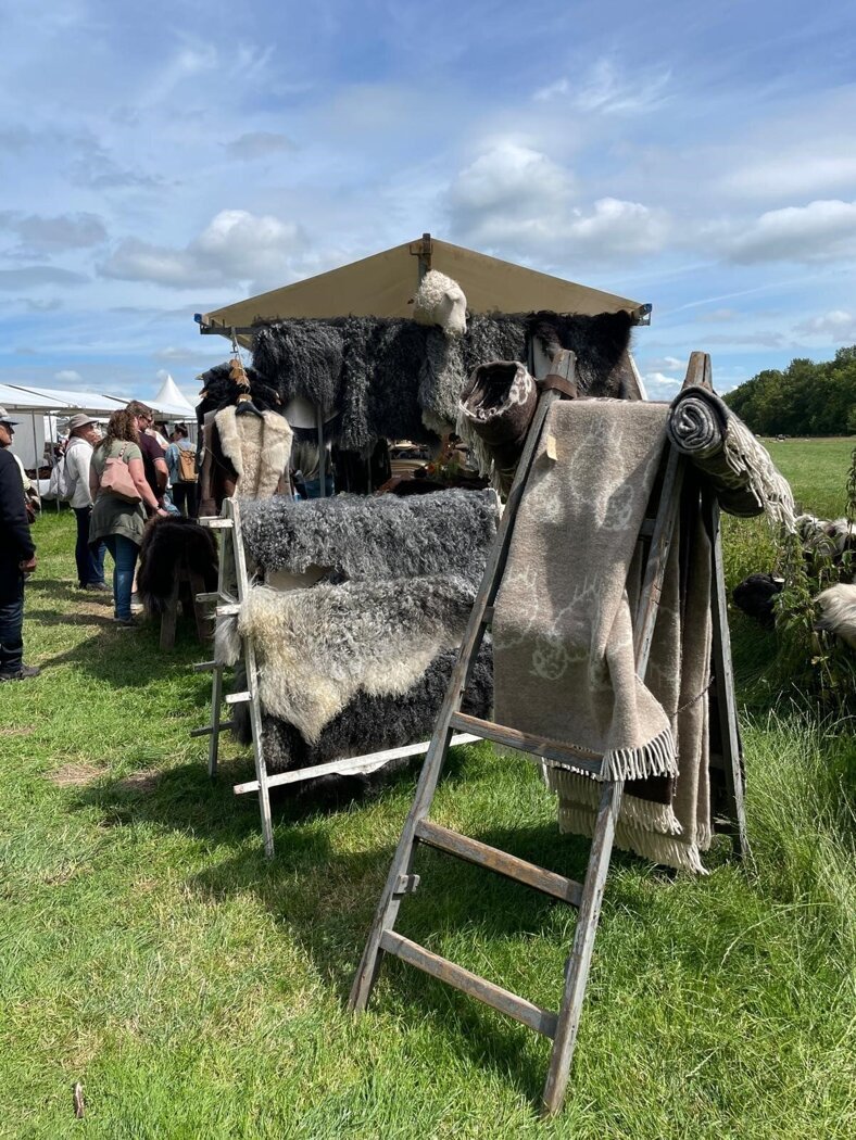 Wolfeest Anneke Boekee.jpg