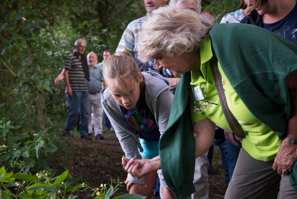 Holthuis - Cees Elzenga.jpg