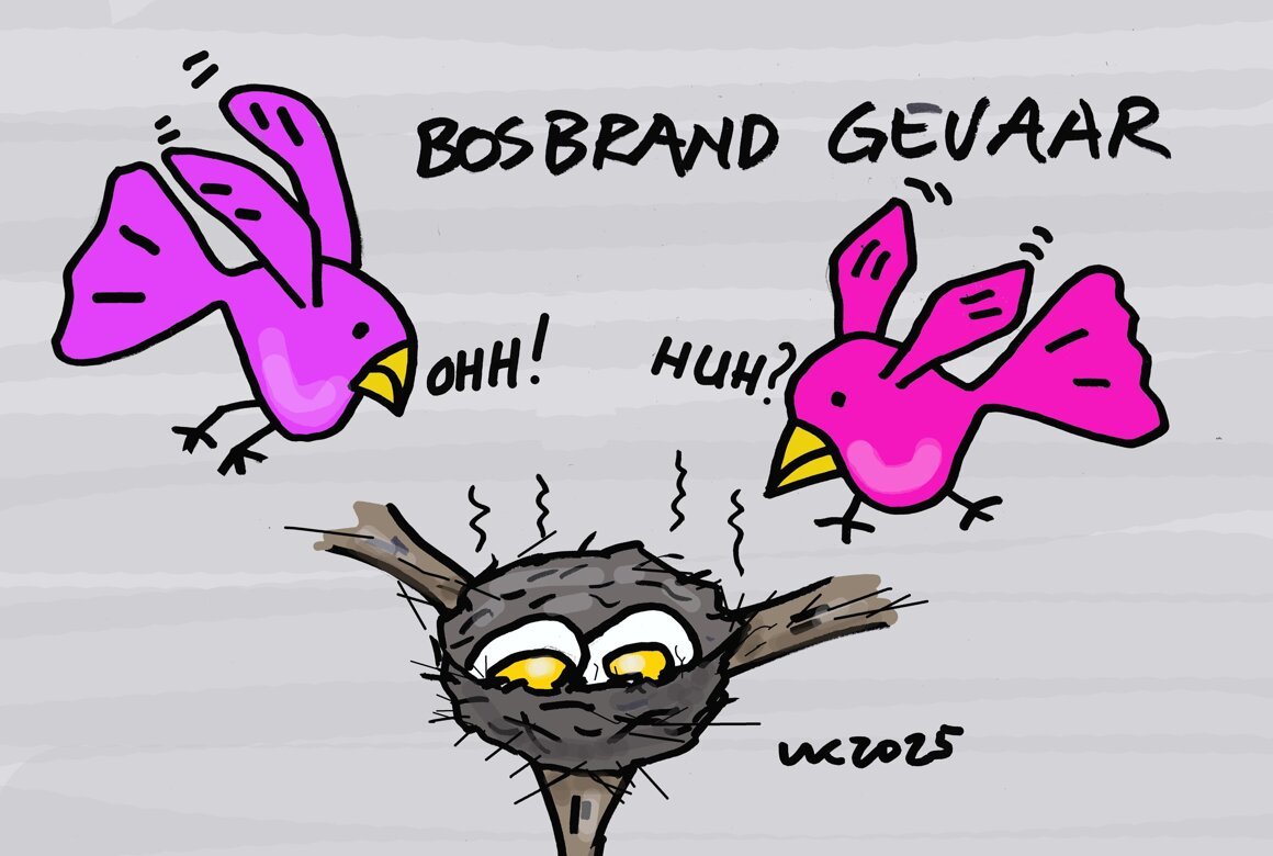 Bosbrandgevaar 3.jpg